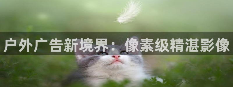 杏宇平台登录步骤图