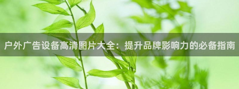 杏宇平台登录步骤是什么