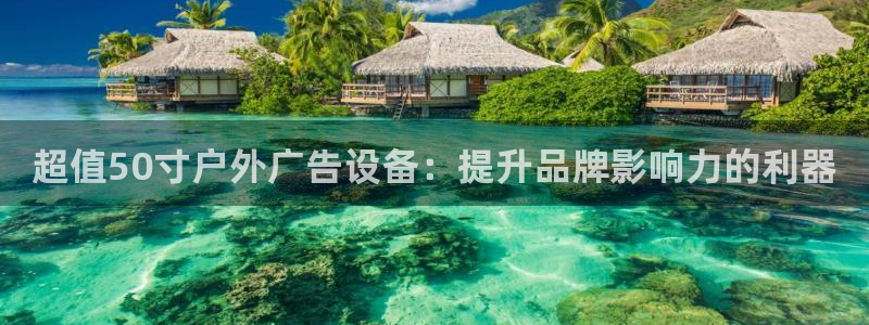 杏宇平台代理