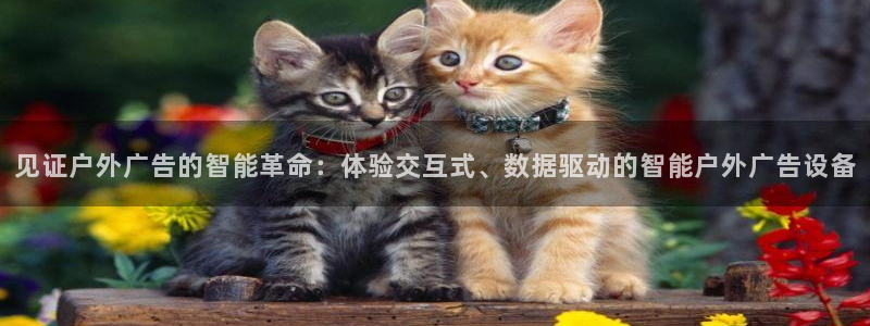 杏宇平台代理多少钱