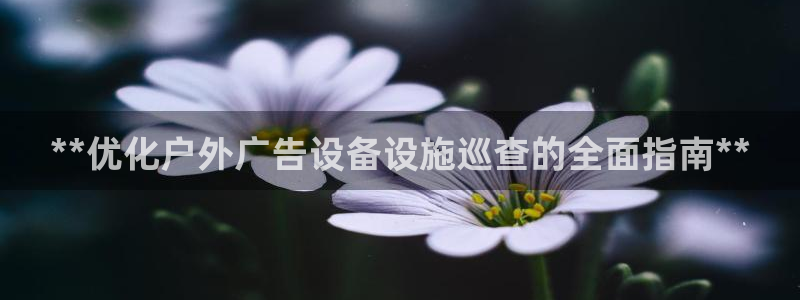 杏宇平台总代理：**优化户外广告设备设施巡查的全面指南**