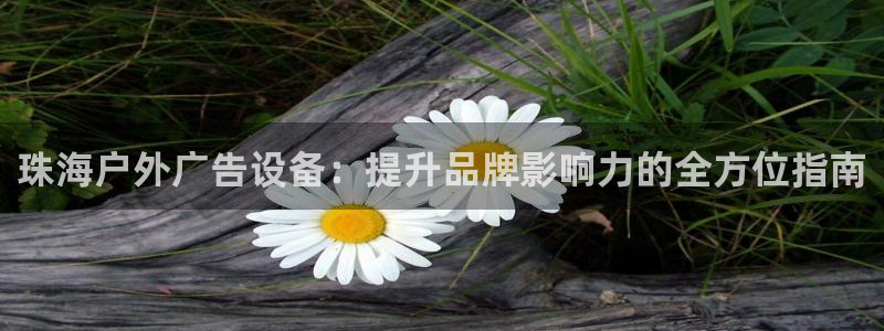 杏宇平台代理多少钱一次：珠海户外广告设备：提升品牌影响力的全方位指南
