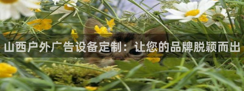 杏宇平台总代理电话：山西户外广告设备定制：让您的品牌脱颖而出