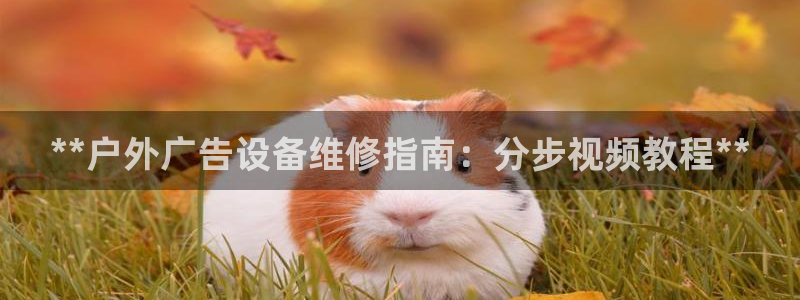 杏宇平台注册登录：**户外广告设备维修指南：分步视频教程**