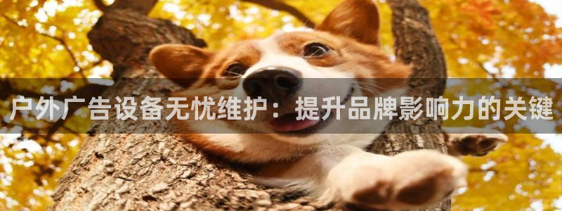 杏宇平台招商怎么样：户外广告设备无忧维护：提升品牌影响力的关键