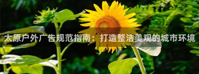 杏宇平台怎么样知乎