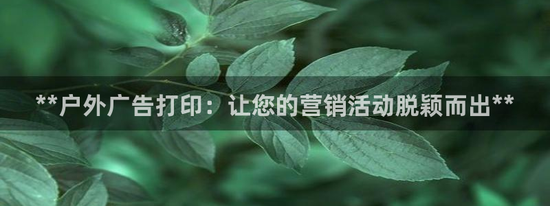 杏宇平台代理多少钱一个：**户外广告打印：让您的营销活动脱颖而出**