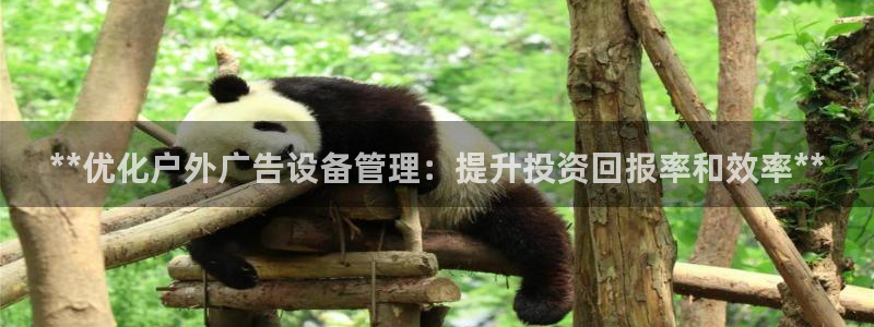 杏宇平台是什么：**优化户外广告设备管理：提升投资回报率和效率**