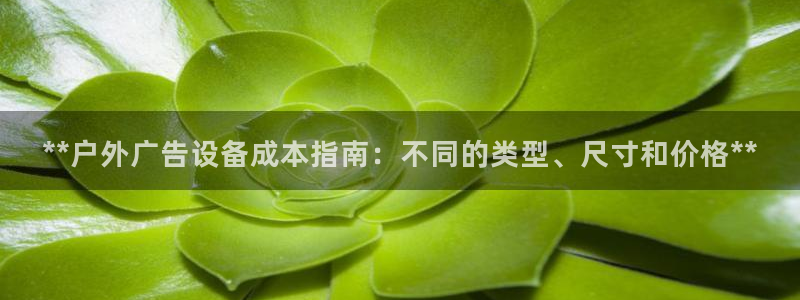 杏宇平台代理多少钱一个月：**户外广告设备成本指南：不同的类型、尺寸和价格**