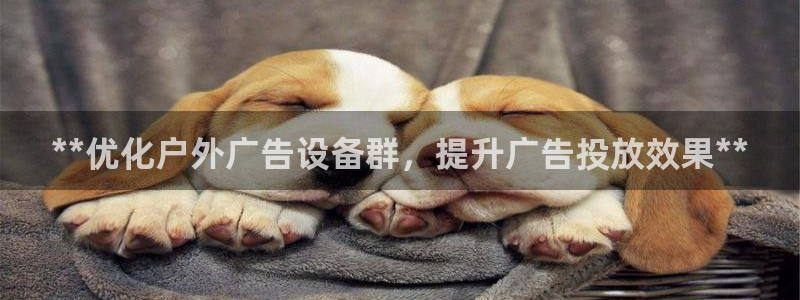杏宇平台官网注册