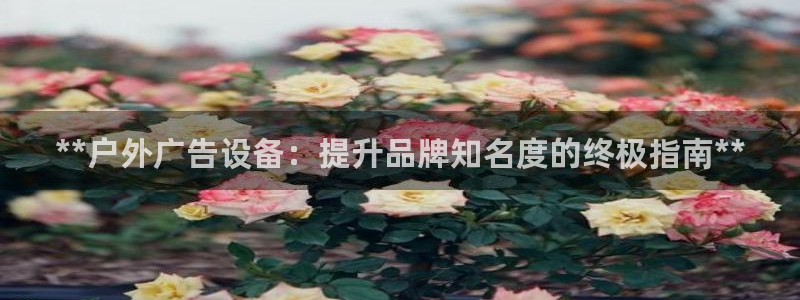 杏宇平台官网注册