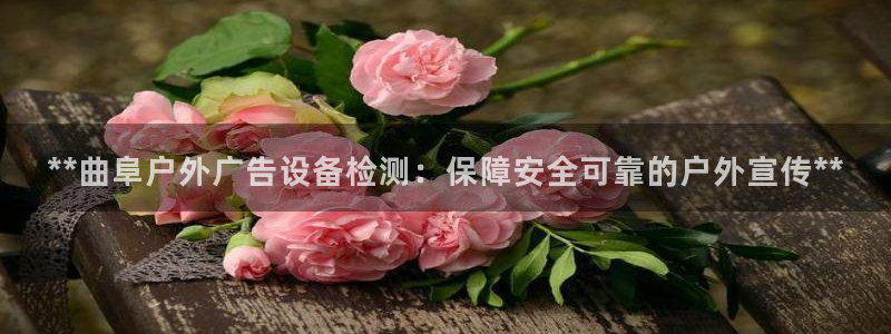 杏宇平台登录步骤