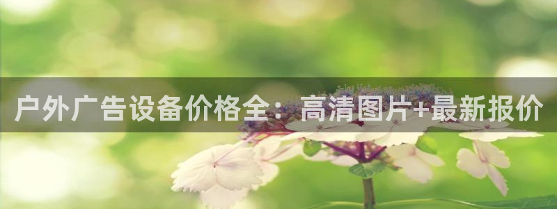 杏宇平台代理多少钱一个