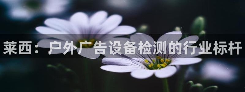 杏宇平台代理多少钱一个月