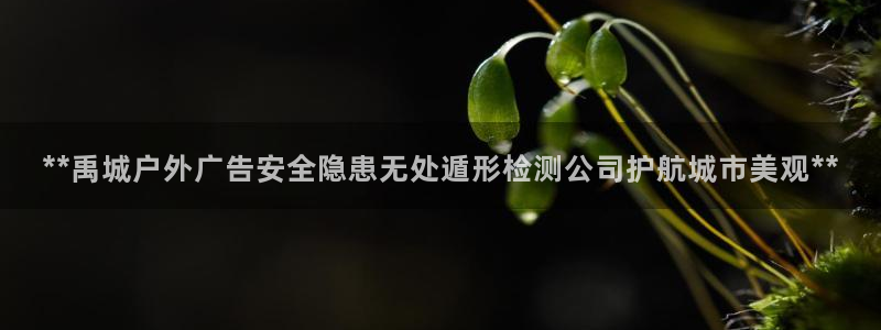 杏宇平台代理怎么样可靠吗