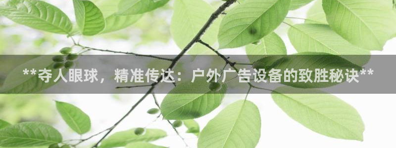 杏宇平台开户