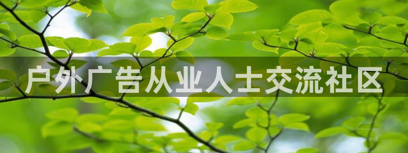杏宇平台主管
