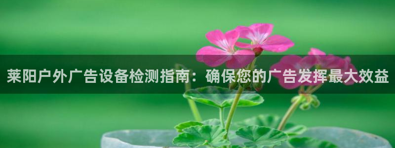 杏宇平台注册地址