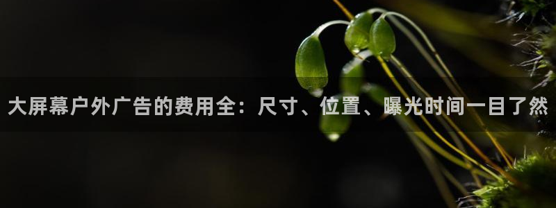 杏宇平台官网注册