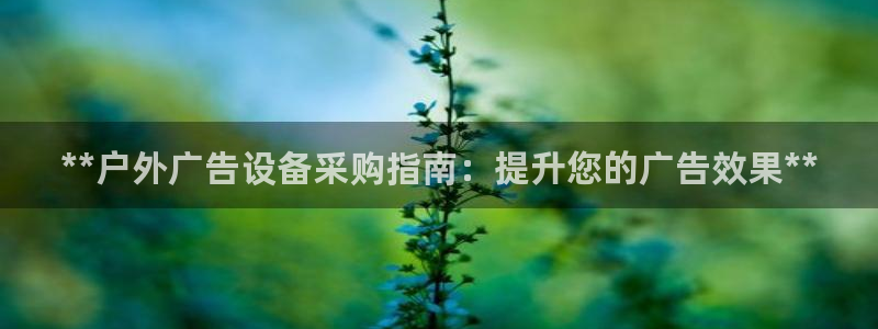 杏宇平台招商怎么样：**户外广告设备采购指南：提升您的广告效果**