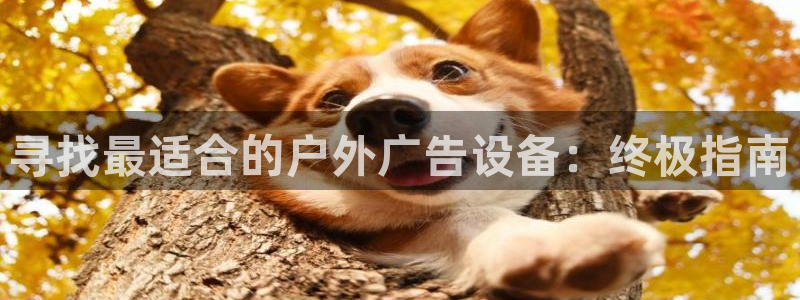 杏宇平台提现为什么这么久呢