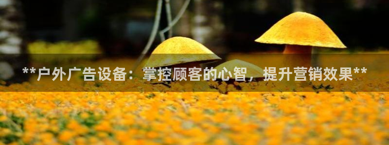杏宇平台提现为什么这么久呢：**户外广告设备：掌控顾客的心智，提升营销效果**