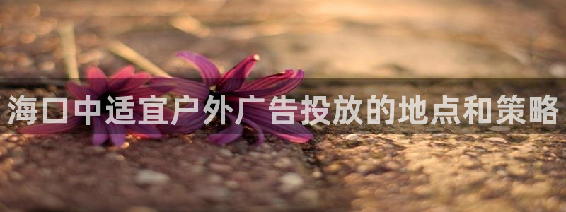 杏宇平台代理怎么赚钱：海口中适宜户外广告投放的地点和策略