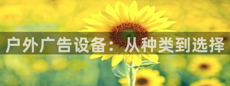 杏宇官方平台官网入口