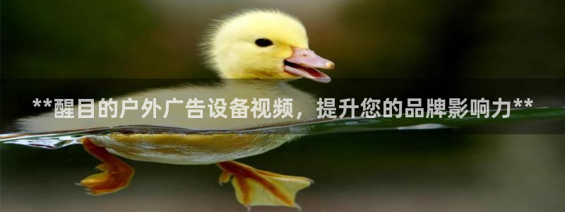 杏宇平台注册地址在哪里：**醒目的户外广告设备视频，提升您的品牌影响力**