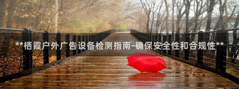 杏宇平台招商怎么样：**栖霞户外广告设备检测指南-确保安全性和合规性**