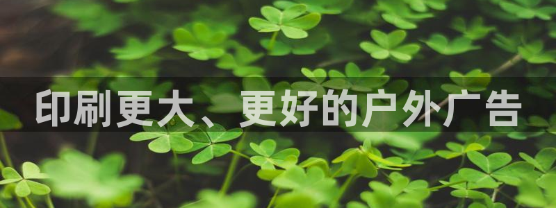 杏宇平台登录步骤是什么