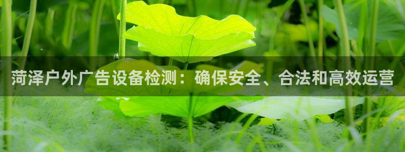 杏宇官方平台官网：菏泽户外广告设备检测：确保安全、合法和高效运营