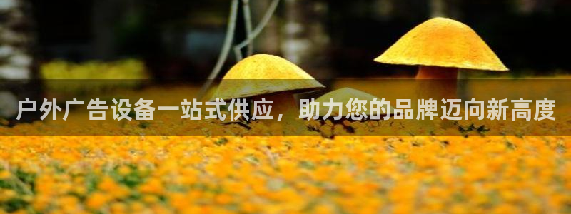 杏宇平台登陆：户外广告设备一站式供应，助力您的品牌迈向新高度