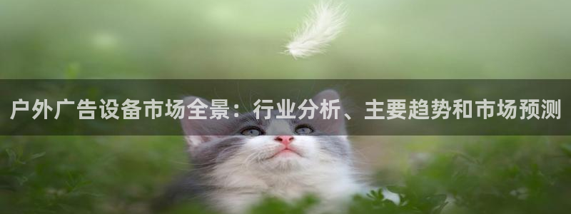 杏宇平台是什么：户外广告设备市场全景：行业分析、主要趋势和市场预测