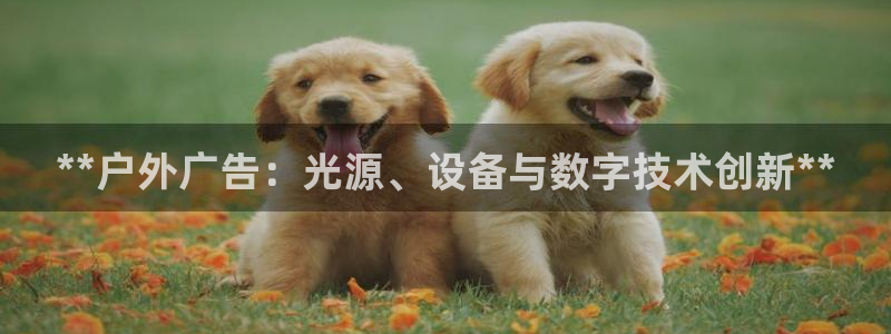杏宇平台代理怎么赚钱快：**户外广告：光源、设备与数字技术创新**