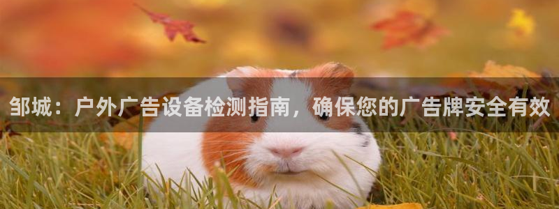 杏宇平台开户：邹城：户外广告设备检测指南，确保您的广告牌安全有效