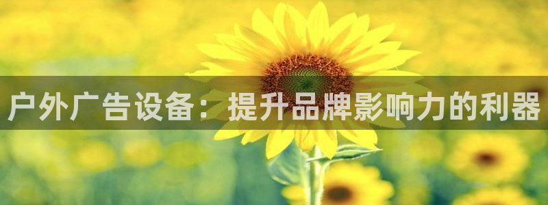 杏宇平台登录步骤是什么