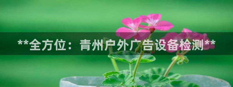 杏宇平台登录步骤图