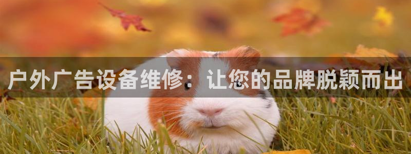 杏宇平台总代理：户外广告设备维修：让您的品牌脱颖而出