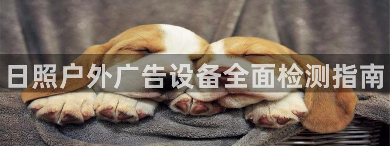 杏宇平台注册地址