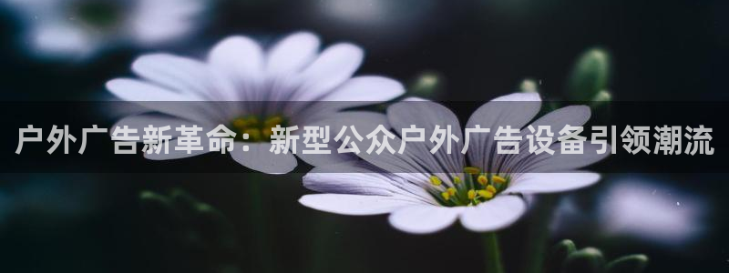 杏宇平台是什么