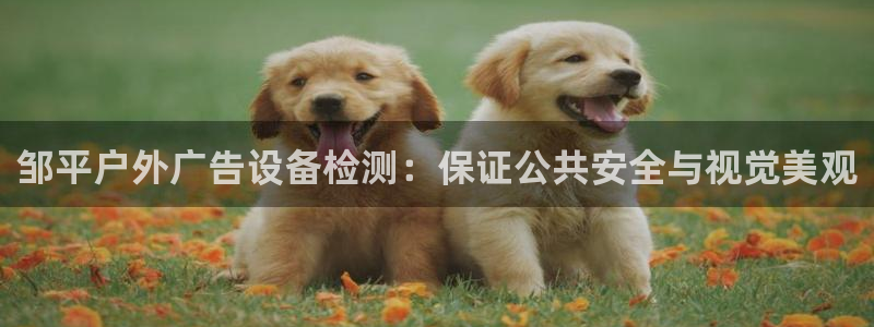 杏宇平台代理：邹平户外广告设备检测：保证公共安全与视觉美观
