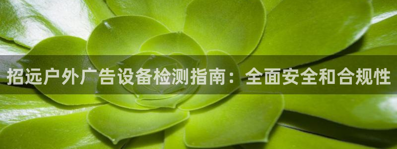 杏宇平台代理怎么赚钱：招远户外广告设备检测指南：全面安全和合规性