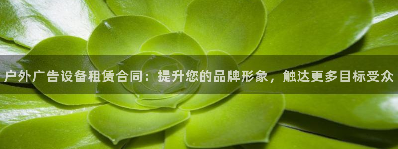 杏宇平台怎么样赚钱：户外广告设备租赁合同：提升您的品牌形象，触达更多目标受众