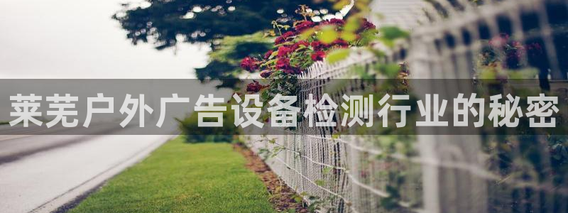 杏宇平台主管