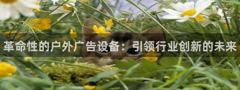 杏宇平台登录步骤是什么：革命性的户外广告设备：引领行业创新的未来