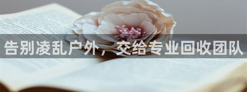 杏宇平台是什么