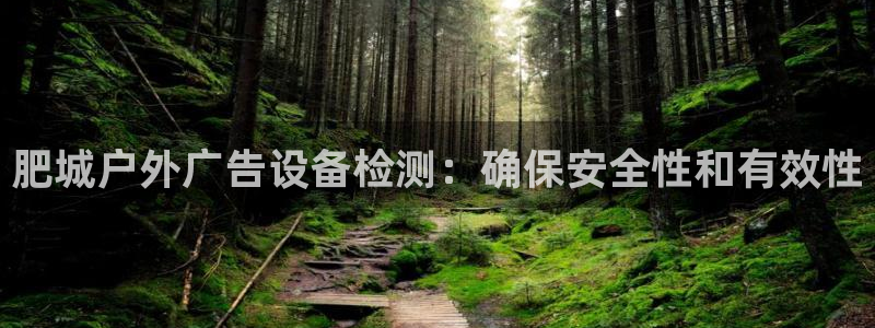 杏宇平台代理怎么样啊：肥城户外广告设备检测：确保安全性和有效性