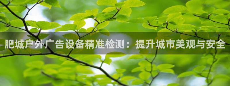 杏宇平台代理怎么样赚钱：肥城户外广告设备精准检测：提升城市美观与安全
