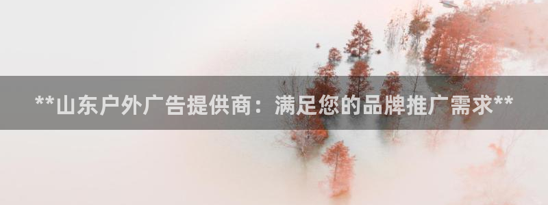 杏宇平台登录步骤是什么：**山东户外广告提供商：满足您的品牌推广需求**